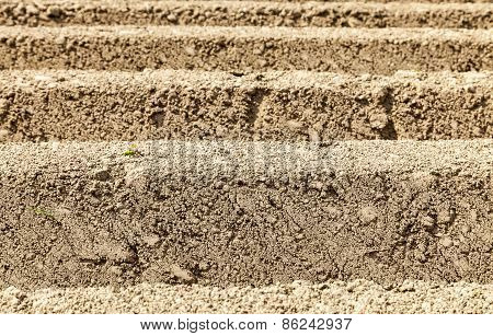 Furrows Abstract