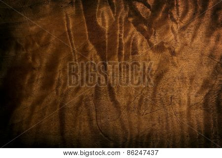Very old antique wood surface with beautiful figured grain. Surface has scratches and dents due to past usage. Intentionally shot in low key.