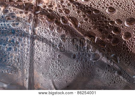 Background Of Web Close-up
