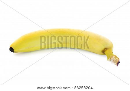 Single yellow spotless banana over white