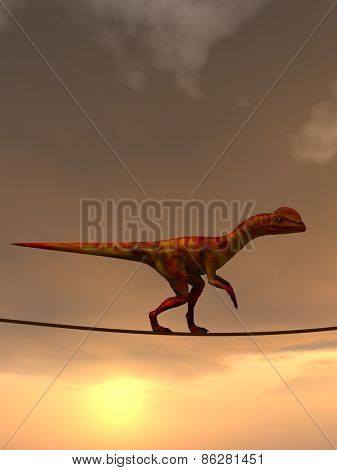 Concept or conceptual abstract business metaphor as wild heavy dinosaurus balancing on rope over sunset sky background