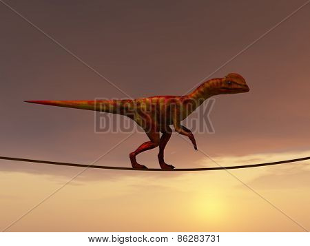 Concept or conceptual abstract business metaphor as wild heavy dinosaurus balancing on rope over sunset sky background