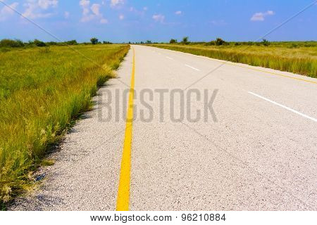 Landscape In Botswana.