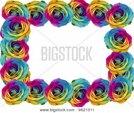 Cadre Roses arc-en-ciel