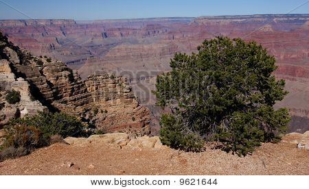 Grand Canyon: South Rim Visa