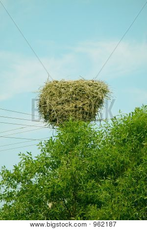 Nest