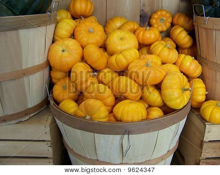 Mini Pumpkin Squash