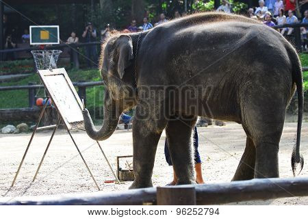 Elephant drawing