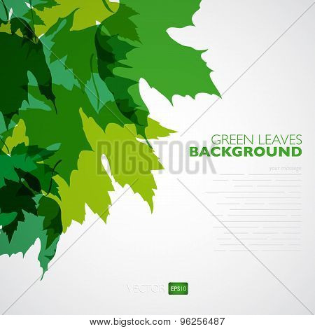 Natural background. Vector background with green leaves.