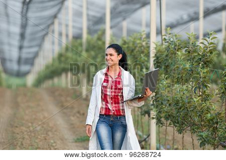 Woman Agronomist In The Orchard