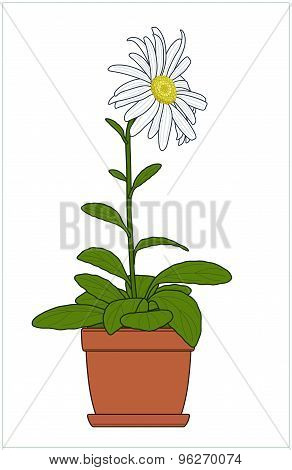 Potted Plant. Houseplants. Vector.
