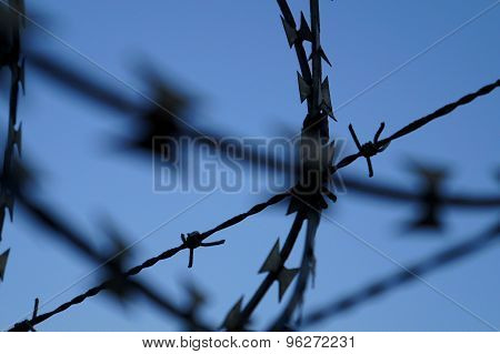 Barbed wire