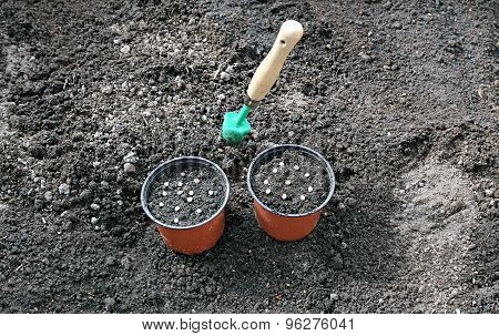 Horticulture Accessories On The Gardenbed