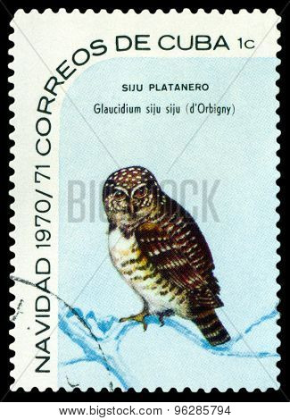 Vintage  Postage Stamp.  Bird  Cuban Pygmy Owl.