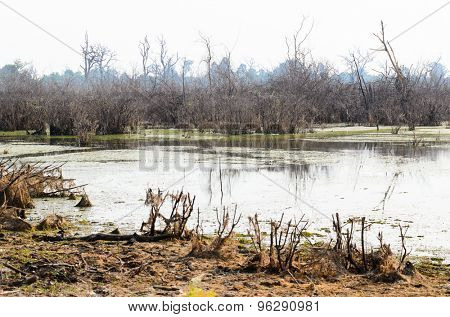 Neak Pean lake, part of Khmer Angkor temple complex, popular among tourists ancient landmark and place of worship in Southeast Asia. Siem Reap, Cambodia.