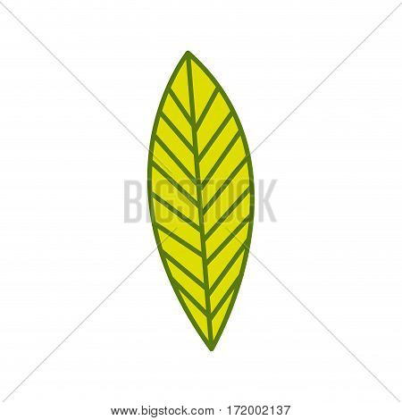 silhouette green leaf with ramifications vector illustration