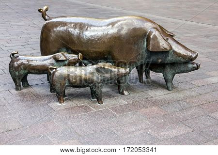 Bremen, Germany. Sculpture of pigs, city sculpture