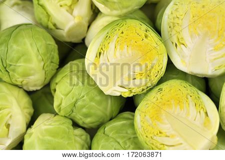Sprouts