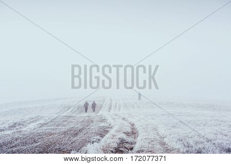 October mountain range in the first winter days. Road to hoarfrost during the morning sun. Scenic fog. Tourists who conquer the mountain. Carpathian, Ukraine, Europe.