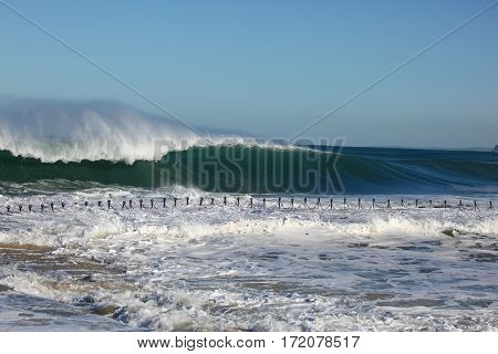 A massive wave breaks and goes unridden at Newcastle Beach - NSW AUstralia. The iconic chain of the "canoe pool" can been seen which is normally a safe swimming spot for children.