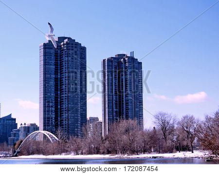 Complex of buildings Humber Bay on a shore of the Lake Ontario in Toronto Canada February 16 2017