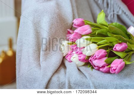 Bouquet of pink and white tulips with pink ribbon on gray blanket at sofa