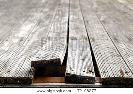 Exterior pine wooden floor bending due to Climate Change front focus blurred background