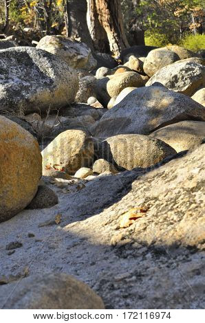 2016 Yosemite, California: View of a variety of rocks randomly scattered