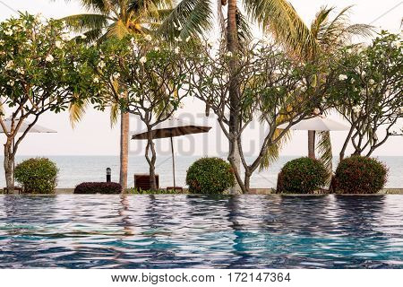 Coconut Tree And Chair Around Outdoor Swimming Pool In Hotel Resort Neary Sea And Beach - Boost Up C