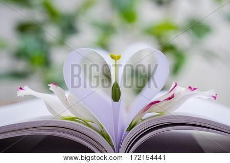 Petals & pistil of Eustoma russellianum flower & heart shape which made by white paper notebook. Clear bright nature background