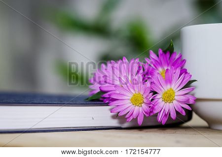 Blooming Alpine asters flowers with ceramic tea cup & note book in the garden. Nature clear background.