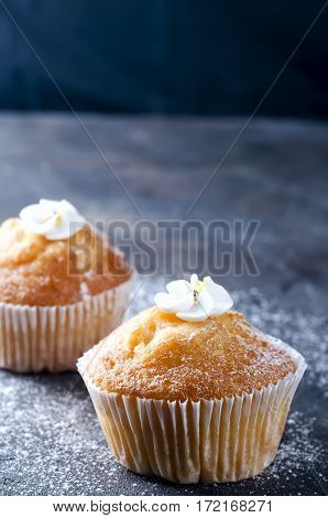 Homemade Vanilla Capcakes