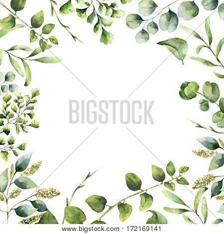 Watercolor floral frame. Hand painted plant card with eucalyptus, fern and spring greenery branches isolated on white background. Print for design or background