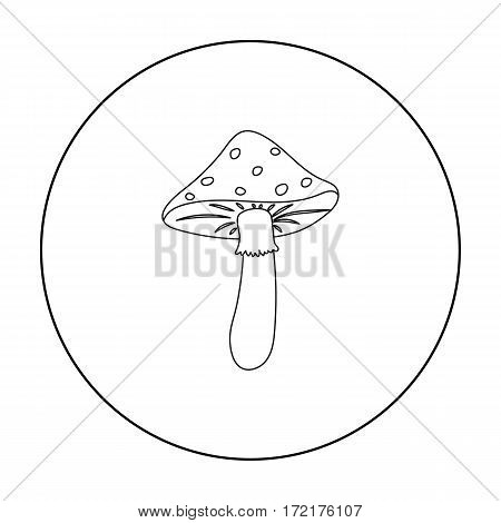 Amanita icon in outline style isolated on white background. Mushroom symbol vector illustration.