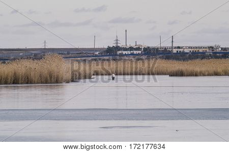 A fishermen on a frozen lake in the winter fishing