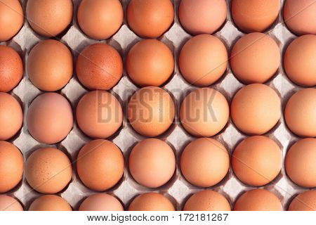 Top View Of Brown Chicken Eggs For Background.