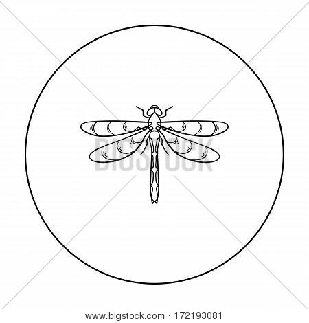 Dragonfly icon in outline design isolated on white background. Insects symbol stock vector illustration.