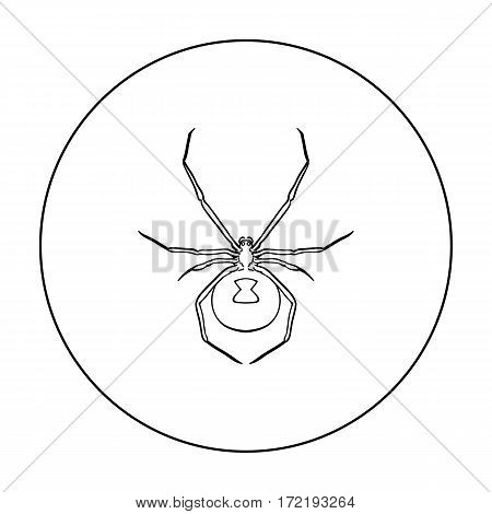 Black widow spider icon in outline design isolated on white background. Insects symbol stock vector illustration.