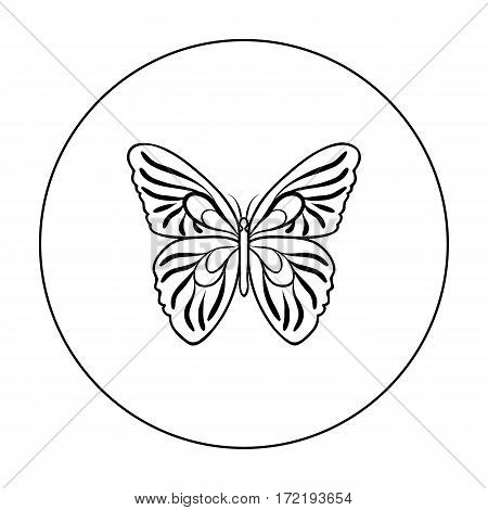 Butterfly icon in outline design isolated on white background. Insects symbol stock vector illustration.