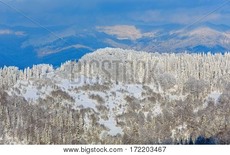 Winter Ukrainian Carpathian Mountains Landscape.