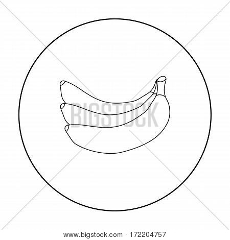 Banana icon outline. Singe fruit icon from the food outline.