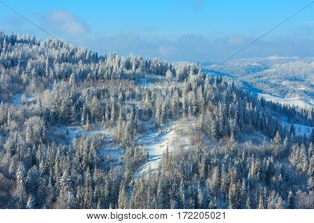 Winter Ukrainian Carpathian Mountains Landscape.