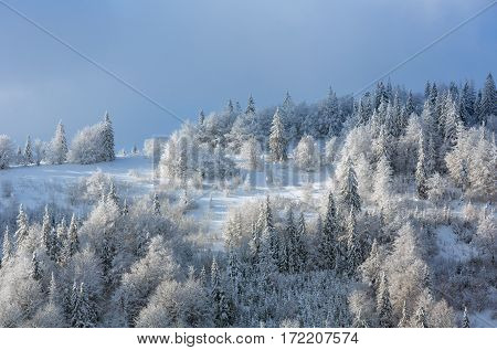 Winter Ukrainian Carpathian Mountains Landscape.