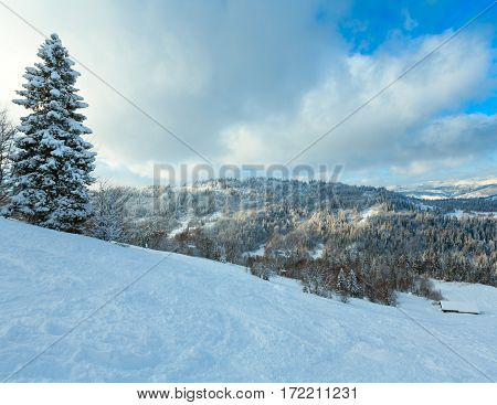 Winter Carpathian Mountains Landscape, Ukraine.