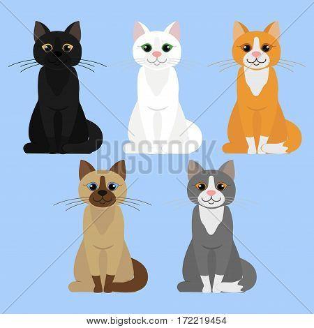 Cat Vector Illustration
