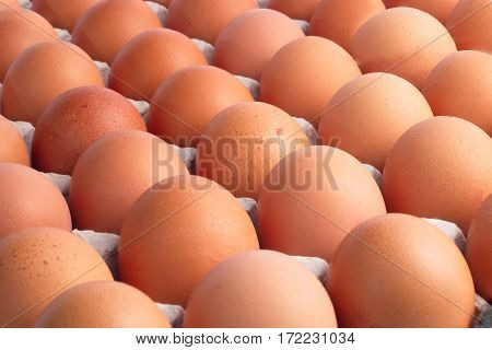 Top view of opened box of brown chicken eggs for background.