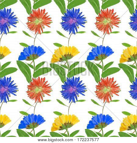 Aster Michaelmas daisy Marigold calendula officinalis. Texture of flowers. Seamless pattern for continuous replicate. Floral background photo collage for production of textile cotton fabric. For use in wallpaper covers.
