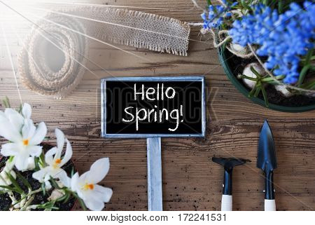 Sign With English Text Hello Spring. Sunny Spring Flowers Like Grape Hyacinth And Crocus. Gardening Tools Like Rake And Shovel. Hemp Fabric Ribbon. Aged Wooden Background