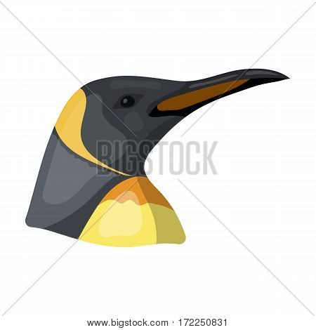 Penguin icon in cartoon design isolated on white background. Realistic animals symbol stock vector illustration.