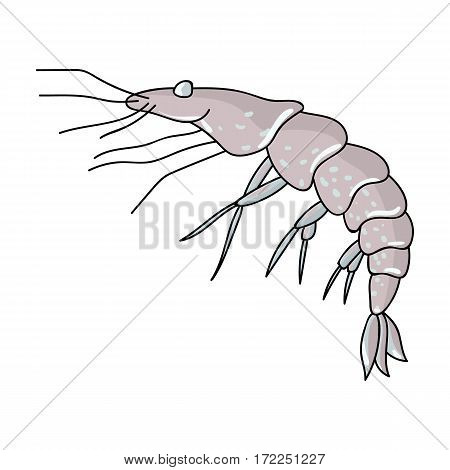 Shrimp icon in cartoon design isolated on white background. Sea animals symbol stock vector illustration.